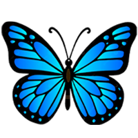 Mariposa